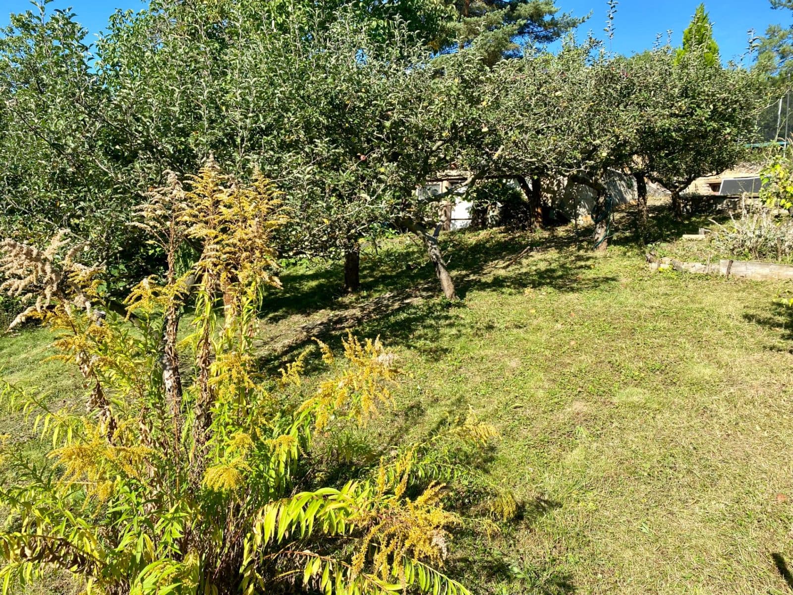 Prodej chaty, chalupy 16 m², pozemek 492 m², Devonská, Praha, Praha Prodej chaty, chalupy 16 m², pozemek 492 m², Devonská, Praha, Praha