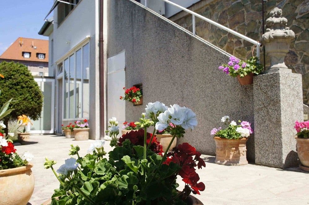 Pronájem bytu 2+kk 30 m², Březinova, Brno, Jihomoravský kraj Pronájem bytu 2+kk 30 m², Březinova, Brno, Jihomoravský kraj