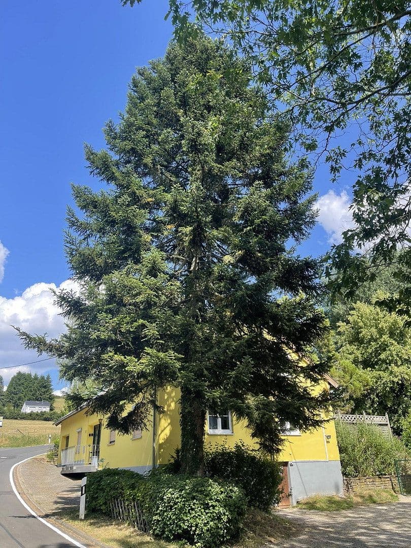 Prodej domu 201 m², pozemek 3.251 m², Kopp, Porýní-Falc Prodej domu 201 m², pozemek 3.251 m², Kopp, Porýní-Falc
