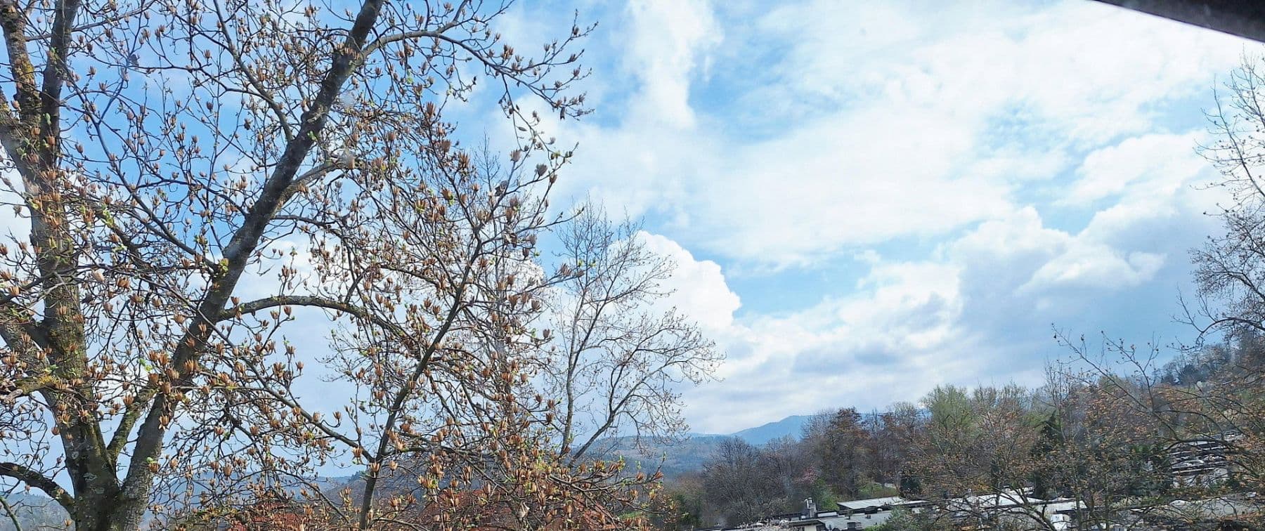 Prodej bytu 3+1 92 m², Freiburg im Breisgau, Bádensko-Württembersko Prodej bytu 3+1 92 m², Freiburg im Breisgau, Bádensko-Württembersko