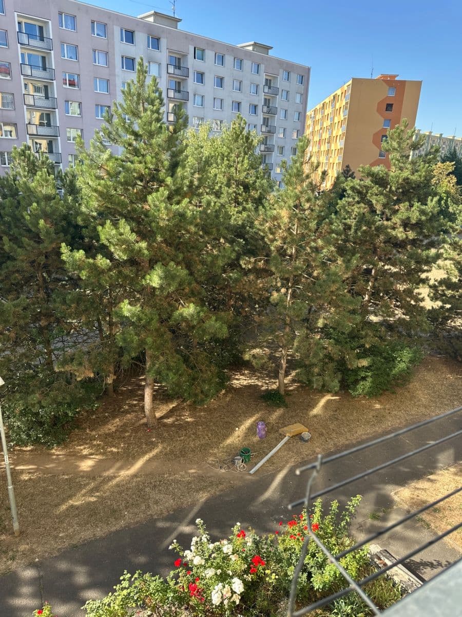 Pronájem bytu 2+1 62 m², 17. listopadu, Chomutov, Ústecký kraj Pronájem bytu 2+1 62 m², 17. listopadu, Chomutov, Ústecký kraj