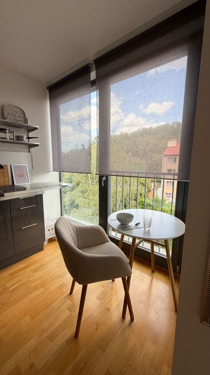 Pronájem bytu 1+kk 30 m², U Michelského mlýna, Praha, Praha Pronájem bytu 1+kk 30 m², U Michelského mlýna, Praha, Praha