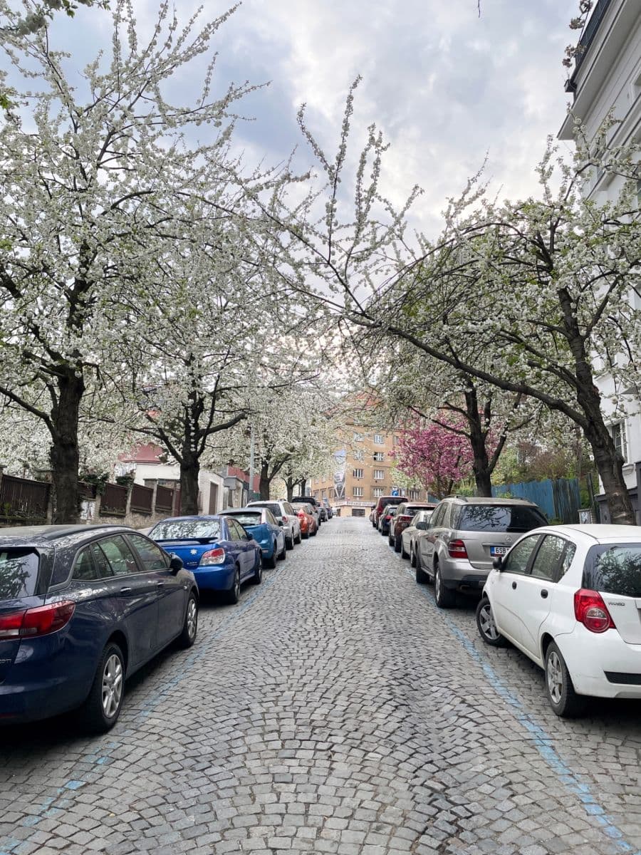 Prodej bytu 1+kk 25 m², Soběslavská, Praha, Praha Prodej bytu 1+kk 25 m², Soběslavská, Praha, Praha