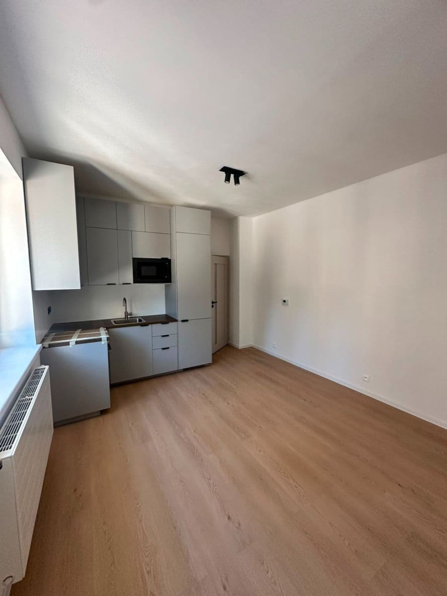 Pronájem bytu 1+kk 29 m², Pod Drinopolem, Praha, Praha Pronájem bytu 1+kk 29 m², Pod Drinopolem, Praha, Praha