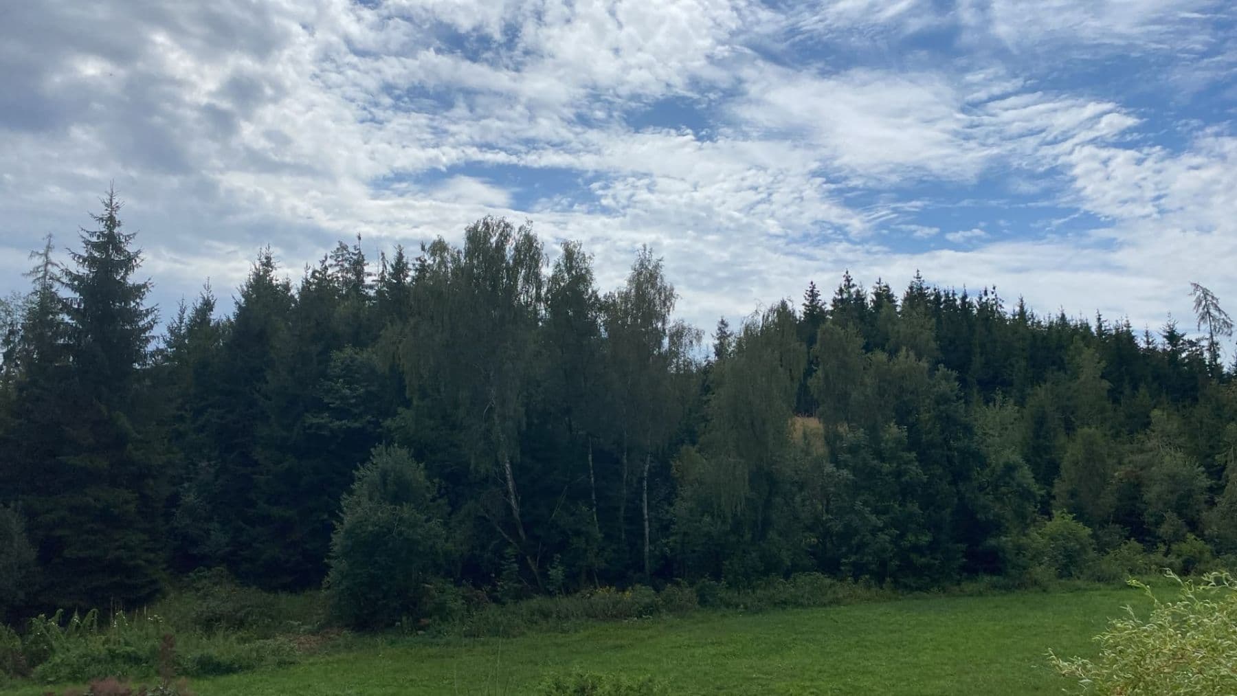 Prodej chaty, chalupy 114 m², pozemek 290 m², Nová Cerekev, Kraj Vysočina Prodej chaty, chalupy 114 m², pozemek 290 m², Nová Cerekev, Kraj Vysočina