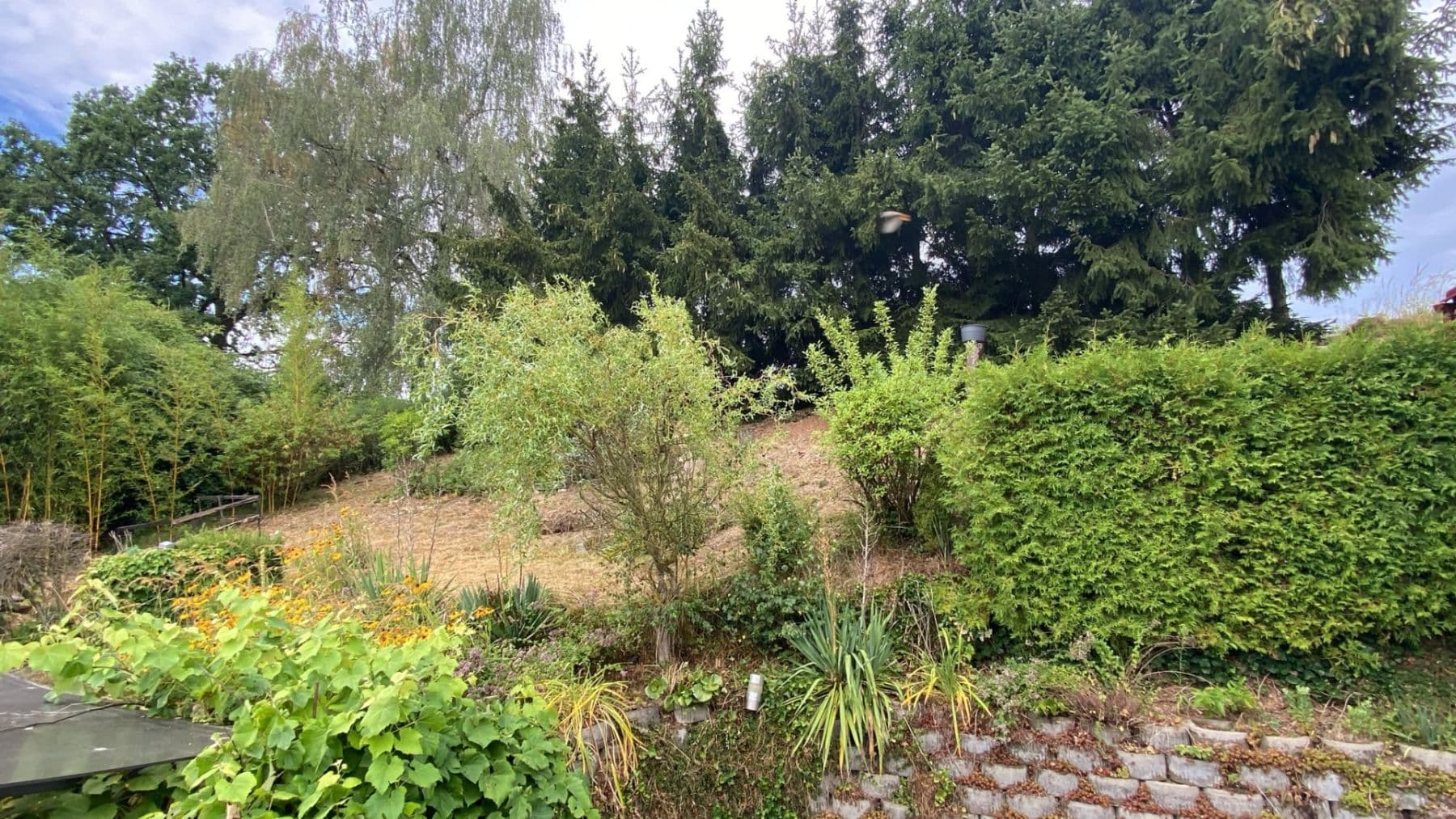 Prodej chaty, chalupy 114 m², pozemek 290 m², Nová Cerekev, Kraj Vysočina Prodej chaty, chalupy 114 m², pozemek 290 m², Nová Cerekev, Kraj Vysočina