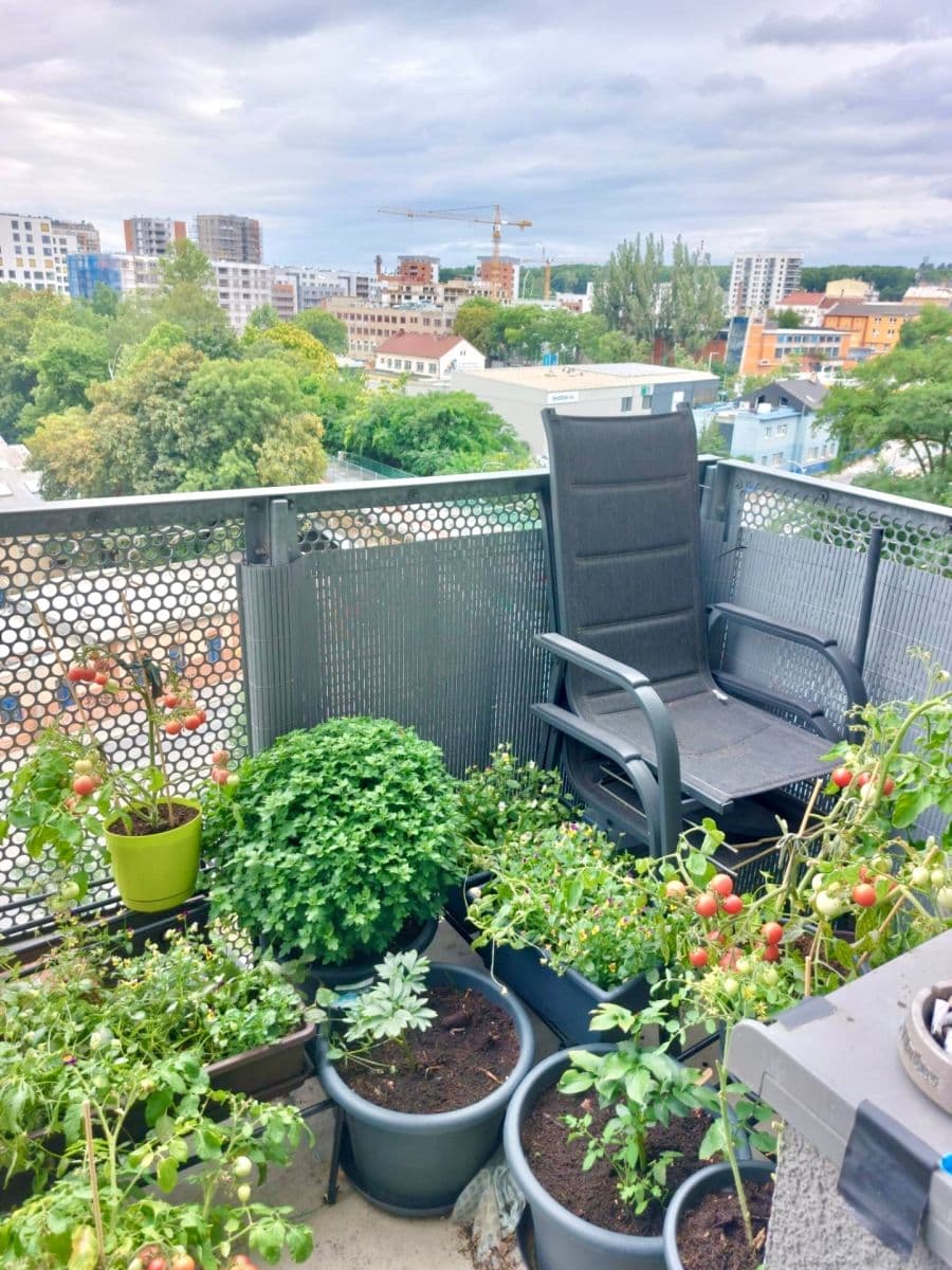 Pronájem bytu 2+kk 44 m², Freyova, Praha, Praha Pronájem bytu 2+kk 44 m², Freyova, Praha, Praha