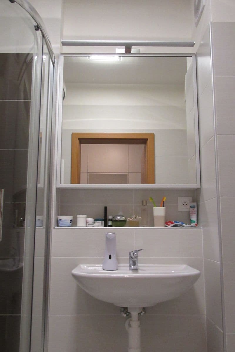 Pronájem bytu 2+kk 49 m², Bučkova, Brno, Jihomoravský kraj Pronájem bytu 2+kk 49 m², Bučkova, Brno, Jihomoravský kraj