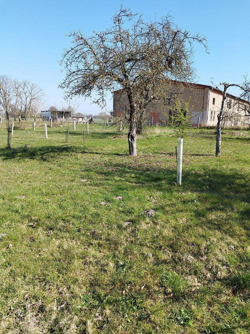 Prodej domu 96 m², pozemek 2.076 m², Osterburg (Altmark), Sasko-Anhaltsko Prodej domu 96 m², pozemek 2.076 m², Osterburg (Altmark), Sasko-Anhaltsko