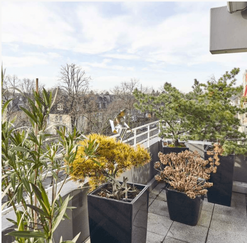 Prodej bytu 3+1 135 m², Riehler Gürtel 8, Köln, Severní Porýní-Vestfálsko Prodej bytu 3+1 135 m², Riehler Gürtel 8, Köln, Severní Porýní-Vestfálsko