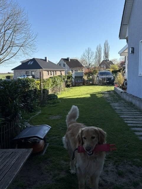 Prodej domu 126 m², pozemek 427 m², Hohenfelde, Šlesvicko-Holštýnsko Prodej domu 126 m², pozemek 427 m², Hohenfelde, Šlesvicko-Holštýnsko