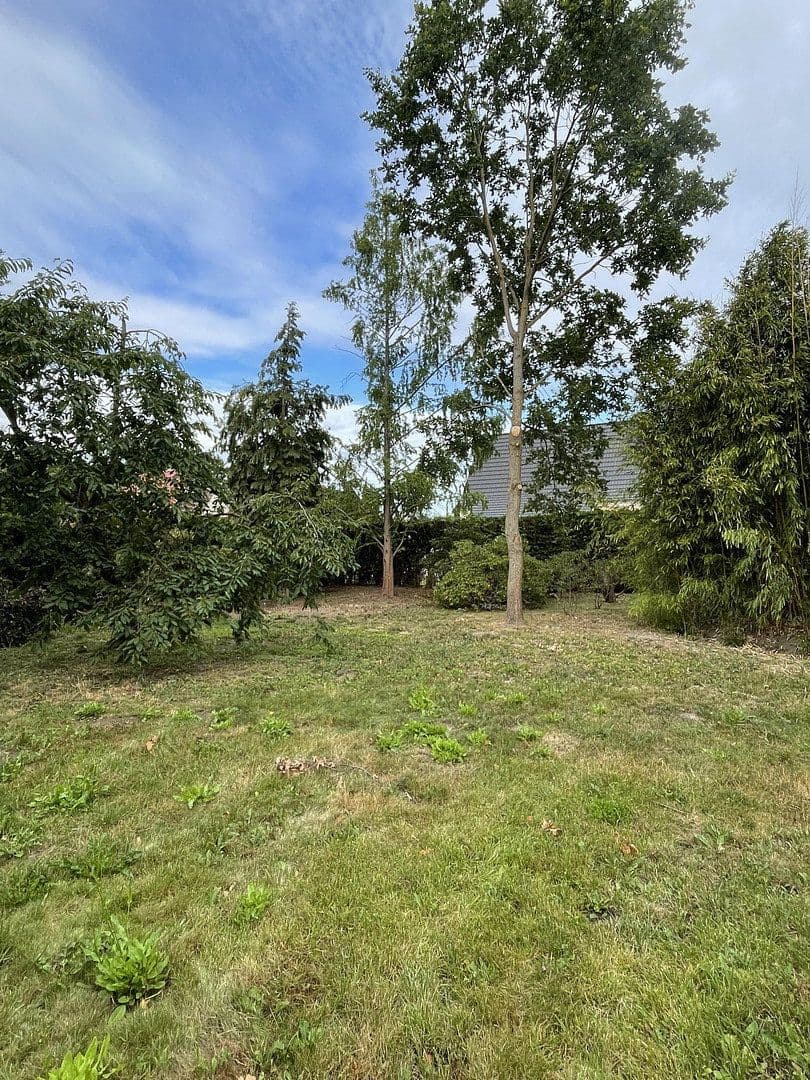 Prodej domu 180 m², pozemek 1.560 m², Müncheberg, Braniborsko Prodej domu 180 m², pozemek 1.560 m², Müncheberg, Braniborsko