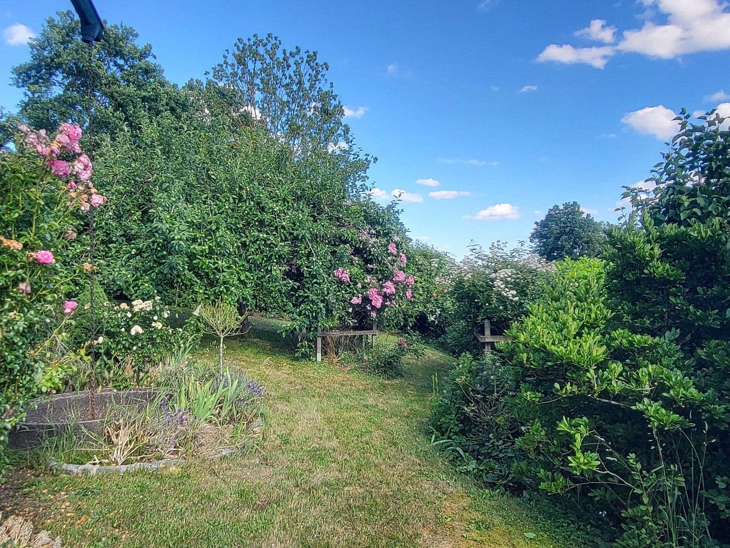 Prodej domu 180 m², pozemek 1.269 m², Marklkofen, Bavorsko Prodej domu 180 m², pozemek 1.269 m², Marklkofen, Bavorsko