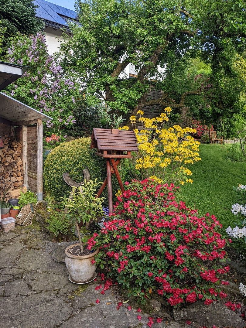 Prodej domu 118 m², pozemek 427 m², Reichshof, Severní Porýní-Vestfálsko Prodej domu 118 m², pozemek 427 m², Reichshof, Severní Porýní-Vestfálsko