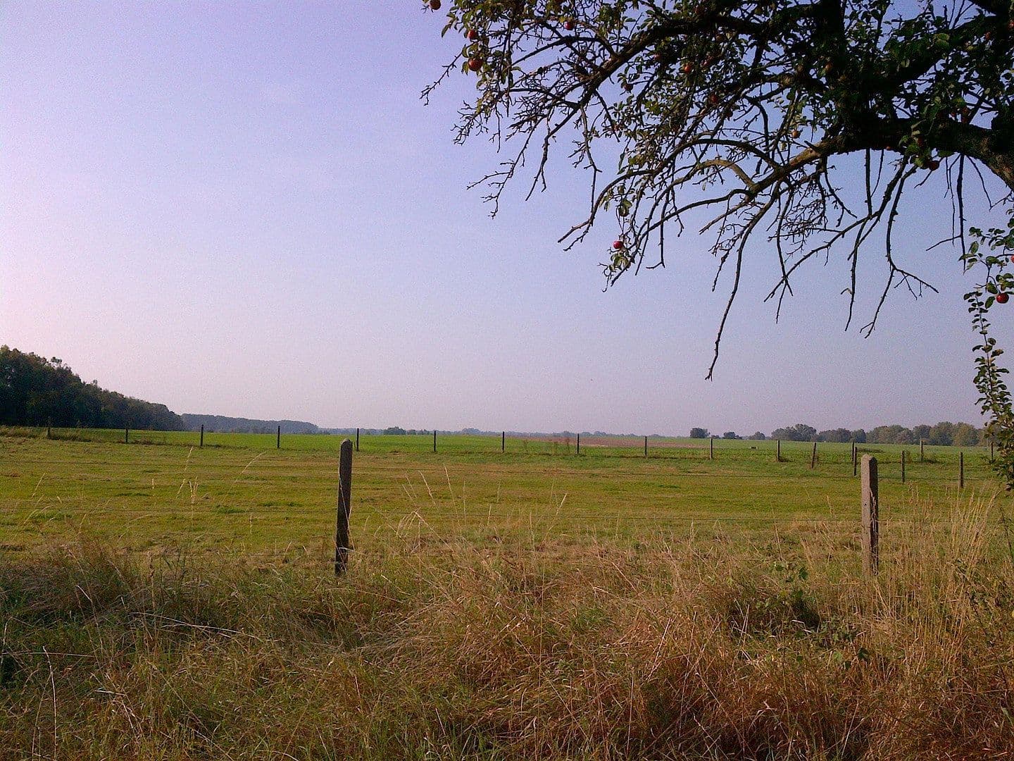 Prodej pozemku 38.356 m², Küsterstege 4, Fehrbellin, Braniborsko Prodej pozemku 38.356 m², Küsterstege 4, Fehrbellin, Braniborsko