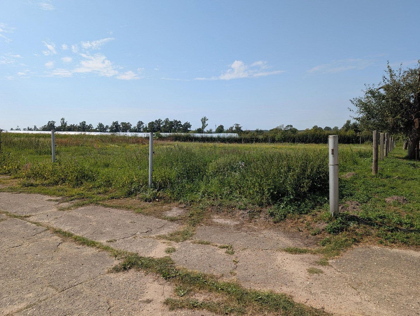 Prodej pozemku 38.356 m², Küsterstege 4, Fehrbellin, Braniborsko Prodej pozemku 38.356 m², Küsterstege 4, Fehrbellin, Braniborsko