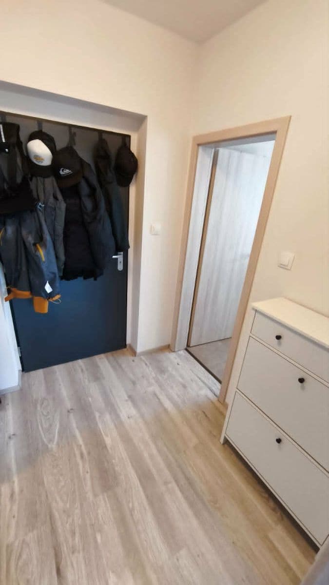 Pronájem bytu 1+kk 37 m², U Pondu, Heřmanova Huť, Plzeňský kraj Pronájem bytu 1+kk 37 m², U Pondu, Heřmanova Huť, Plzeňský kraj