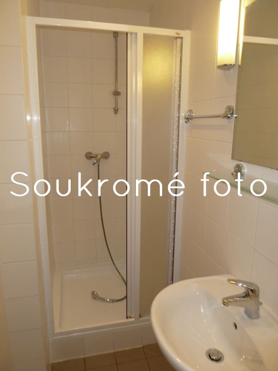 Pronájem bytu 1+1 44 m², Za Hájem, Praha, Praha Pronájem bytu 1+1 44 m², Za Hájem, Praha, Praha