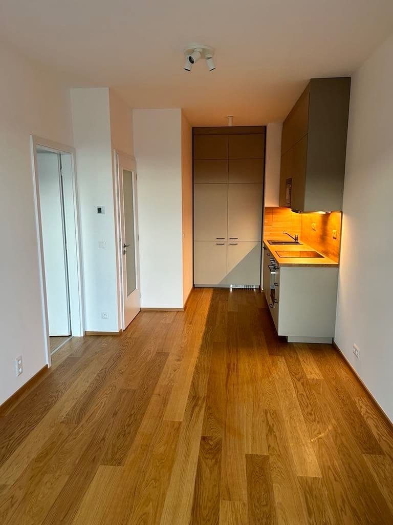 Pronájem bytu 2+kk 43 m², Hasilova, Praha, Praha Pronájem bytu 2+kk 43 m², Hasilova, Praha, Praha