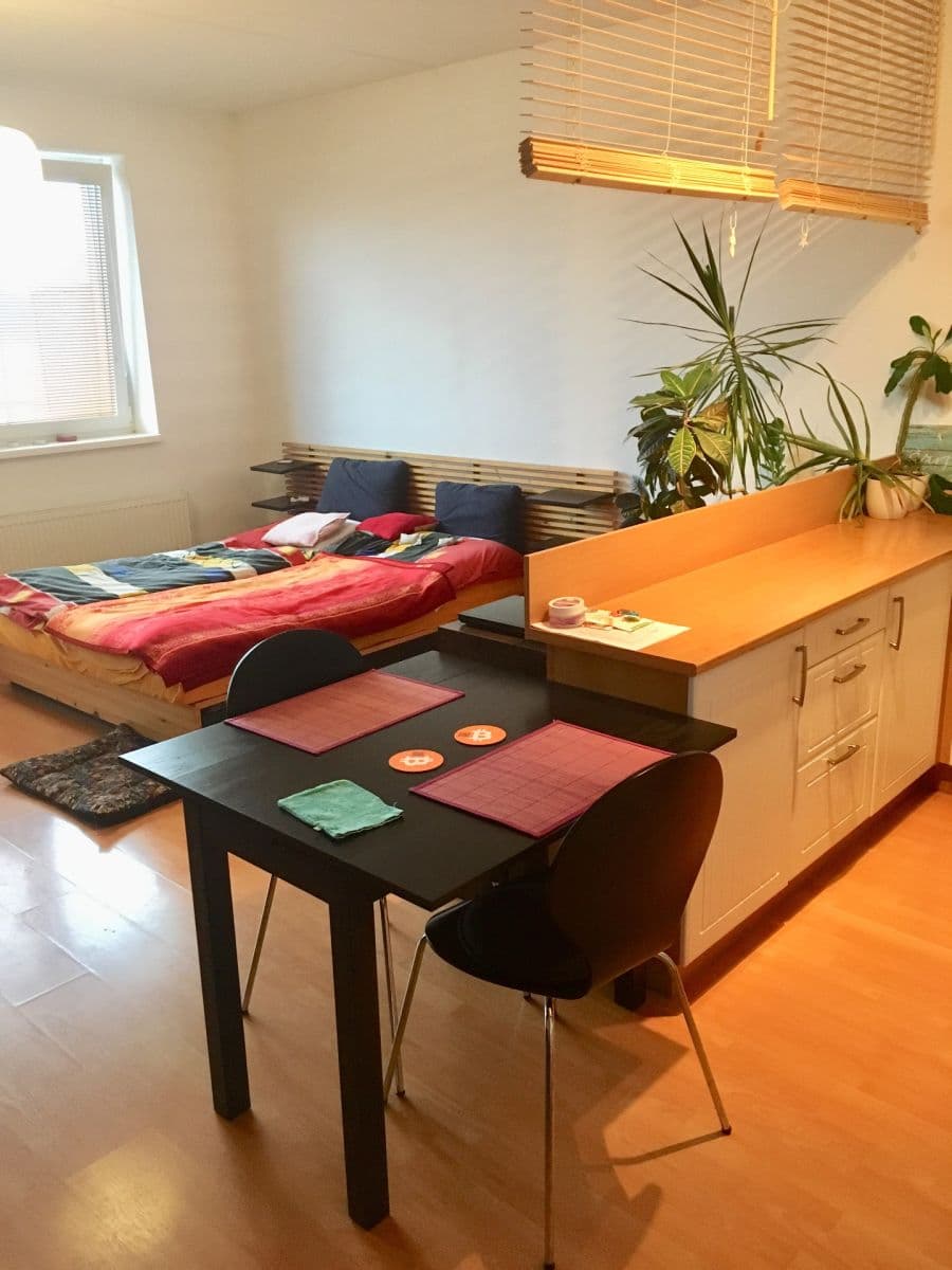 Pronájem bytu 1+kk 40 m², Bratislavská, Praha, Praha Pronájem bytu 1+kk 40 m², Bratislavská, Praha, Praha