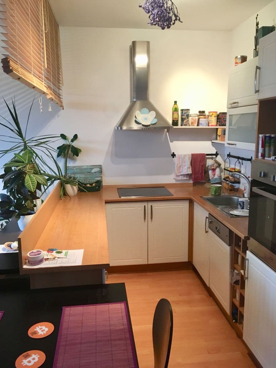 Pronájem bytu 1+kk 40 m², Bratislavská, Praha, Praha Pronájem bytu 1+kk 40 m², Bratislavská, Praha, Praha