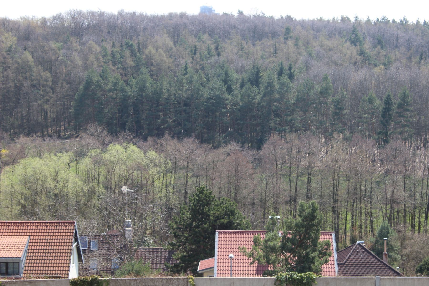 Pronájem bytu 1+kk 40 m², Bratislavská, Praha, Praha Pronájem bytu 1+kk 40 m², Bratislavská, Praha, Praha