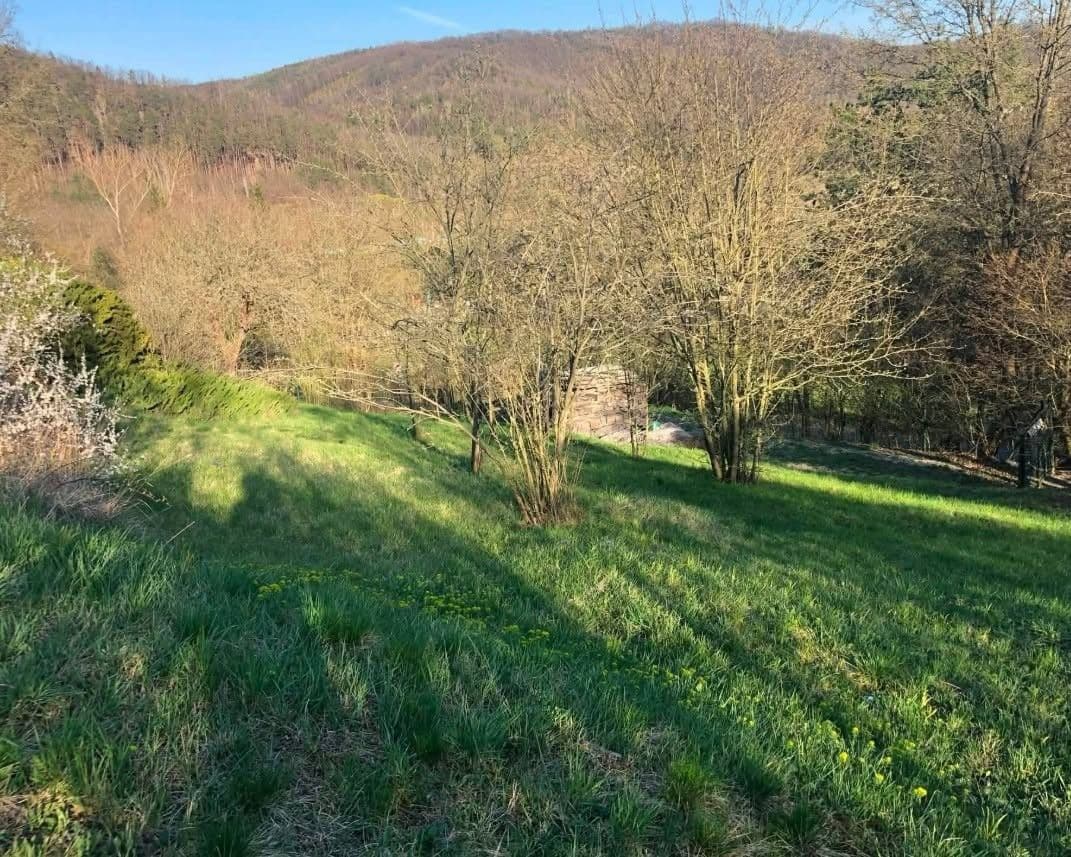 Pronájem chaty, chalupy 35 m², pozemek 1.199 m², Chyňava, Středočeský kraj Pronájem chaty, chalupy 35 m², pozemek 1.199 m², Chyňava, Středočeský kraj