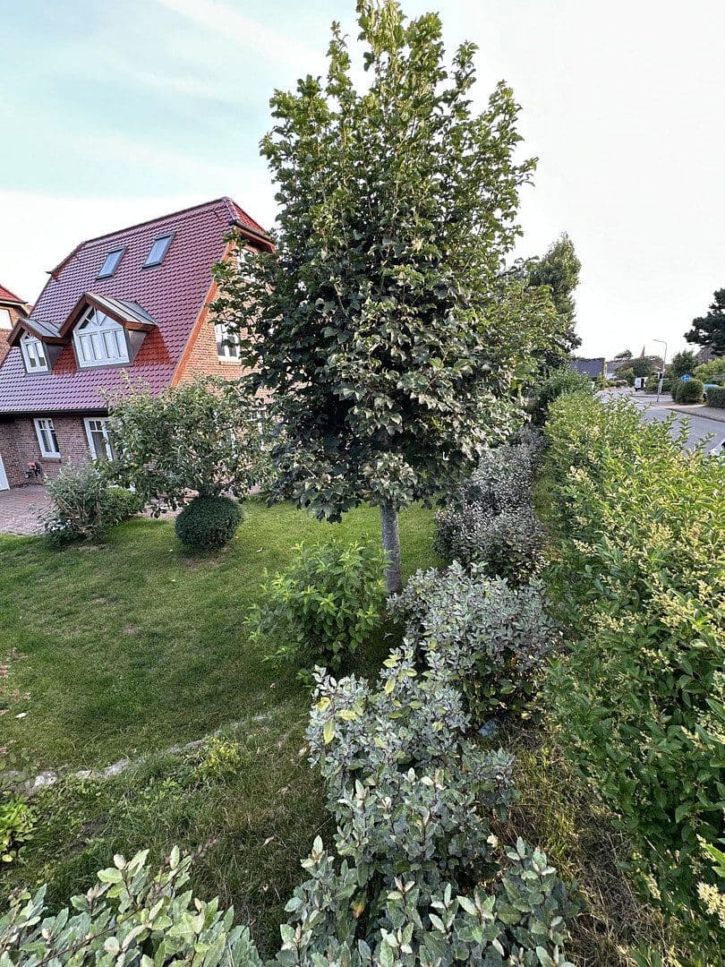 Prodej domu 121 m², pozemek 356 m², Sylt, Šlesvicko-Holštýnsko Prodej domu 121 m², pozemek 356 m², Sylt, Šlesvicko-Holštýnsko