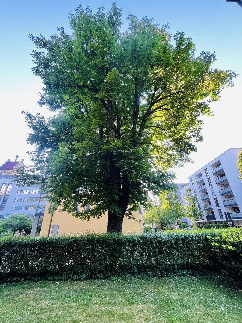 Prodej bytu 2+1 64 m², Wölflinstr. 3, Freiburg, Bádensko-Württembersko Prodej bytu 2+1 64 m², Wölflinstr. 3, Freiburg, Bádensko-Württembersko