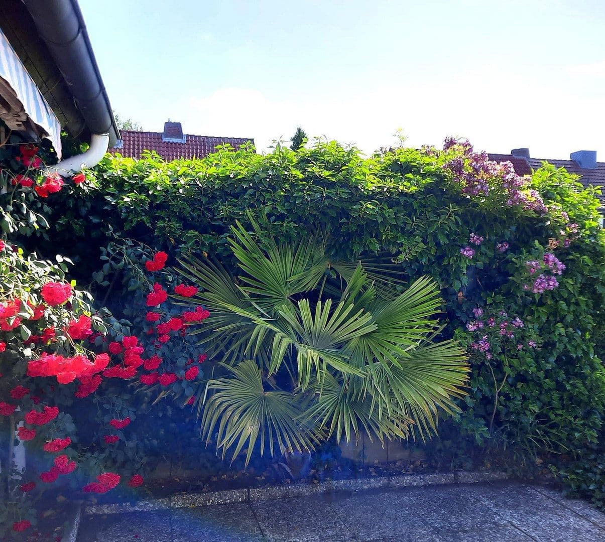 Prodej domu 180 m², pozemek 514 m², Ostpreußenstraße 8, Verden (Aller), Dolní Sasko Prodej domu 180 m², pozemek 514 m², Ostpreußenstraße 8, Verden (Aller), Dolní Sasko