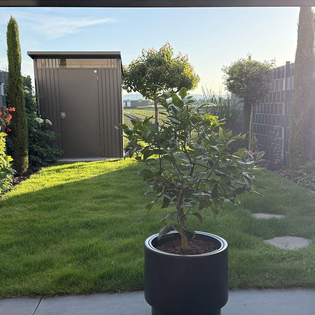 Prodej domu 87 m², pozemek 121 m², Frankenthal, Porýní-Falc Prodej domu 87 m², pozemek 121 m², Frankenthal, Porýní-Falc