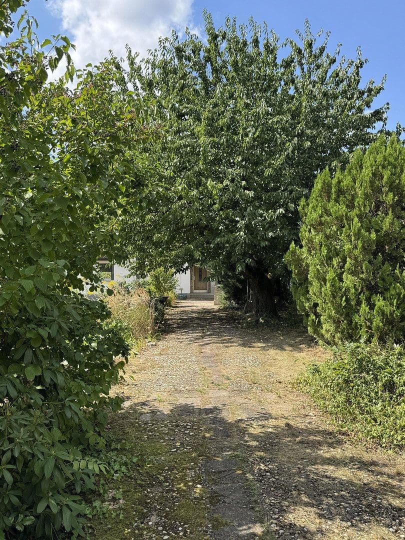 Prodej domu 80 m², pozemek 1.020 m², Leipzig, Sasko Prodej domu 80 m², pozemek 1.020 m², Leipzig, Sasko
