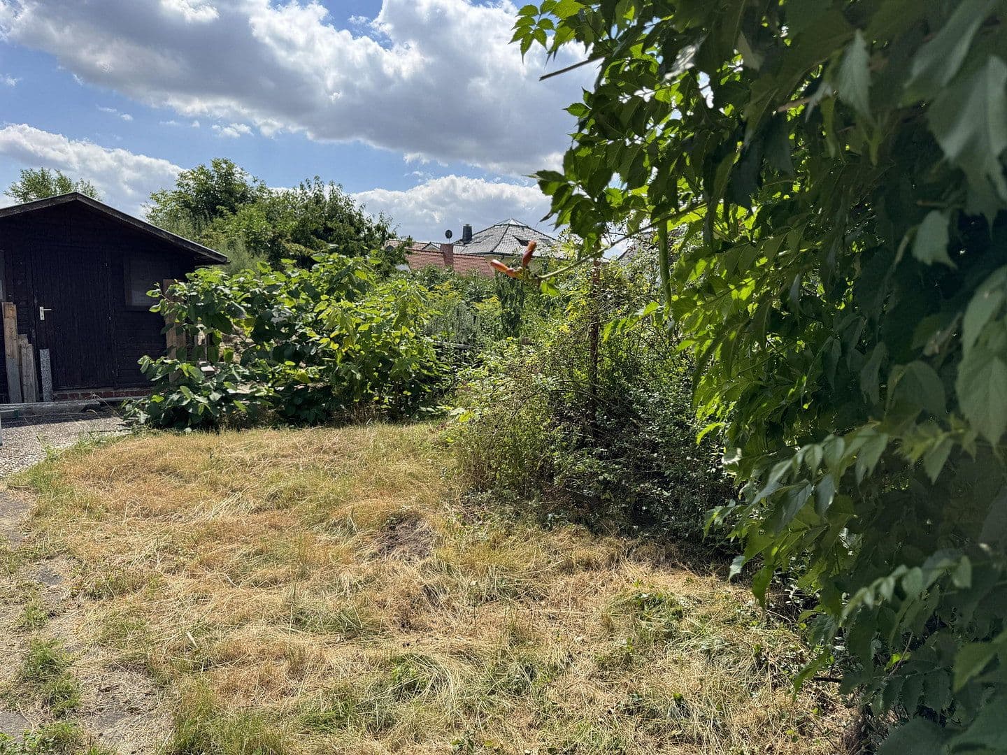 Prodej domu 80 m², pozemek 1.020 m², Leipzig, Sasko Prodej domu 80 m², pozemek 1.020 m², Leipzig, Sasko