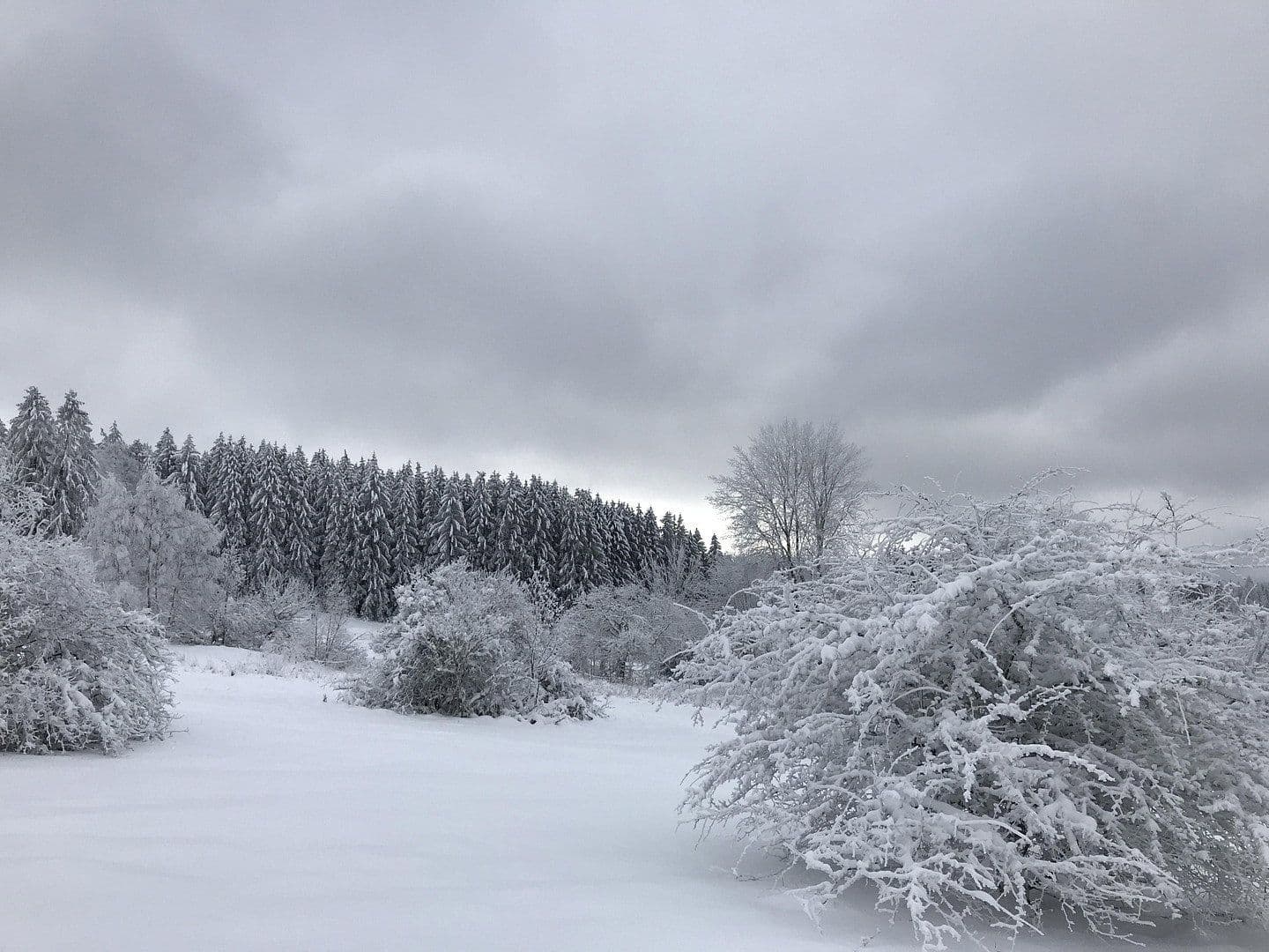 Prodej domu 146 m², pozemek 332 m², Schmitten im Taunus, Hessen Prodej domu 146 m², pozemek 332 m², Schmitten im Taunus, Hessen