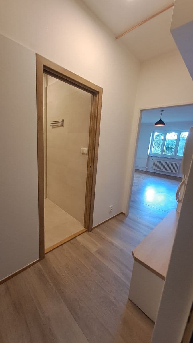 Pronájem bytu 1+kk 32 m², Bohuslava Martinů, Brno, Jihomoravský kraj Pronájem bytu 1+kk 32 m², Bohuslava Martinů, Brno, Jihomoravský kraj