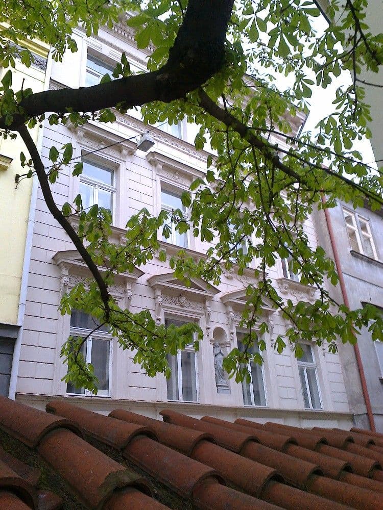 Pronájem bytu 1+1 45 m², Opatovická, Praha, Praha Pronájem bytu 1+1 45 m², Opatovická, Praha, Praha