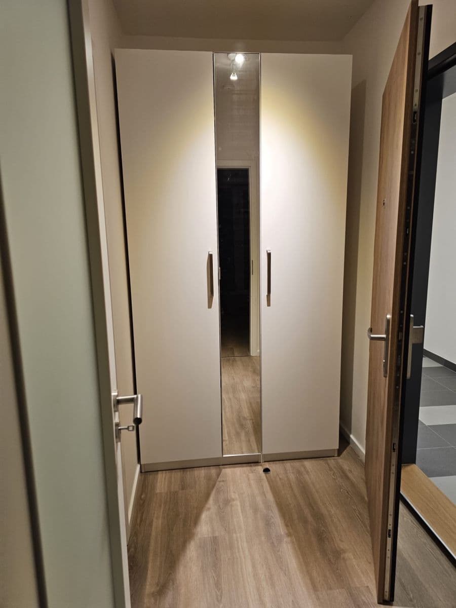 Pronájem bytu 1+kk 32 m², Divíškové, Praha, Praha Pronájem bytu 1+kk 32 m², Divíškové, Praha, Praha