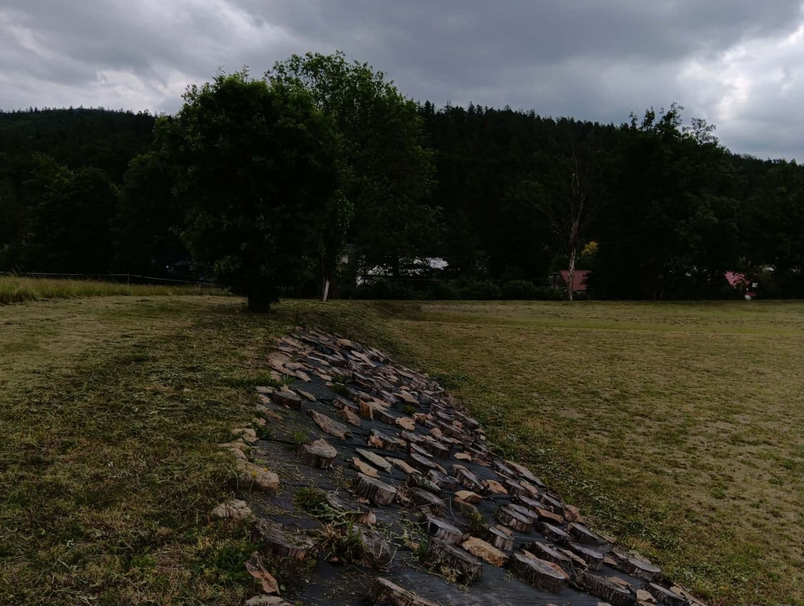 Prodej pozemku 7.284 m², Brantice, Moravskoslezský kraj Prodej pozemku 7.284 m², Brantice, Moravskoslezský kraj