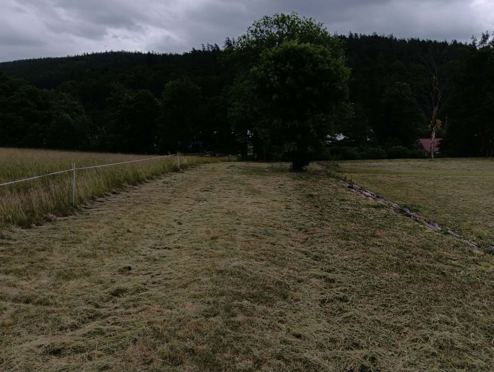 Prodej pozemku 7.284 m², Brantice, Moravskoslezský kraj Prodej pozemku 7.284 m², Brantice, Moravskoslezský kraj