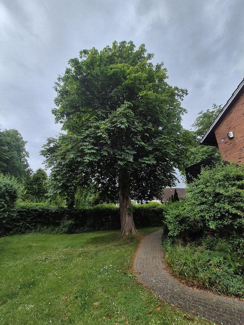 Prodej bytu 2+1 30 m², An der Allee, 23747 Dahme, Šlesvicko-Holštýnsko Prodej bytu 2+1 30 m², An der Allee, 23747 Dahme, Šlesvicko-Holštýnsko