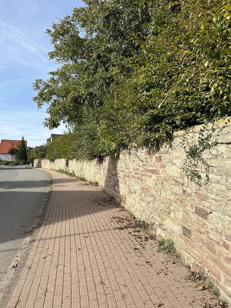 Prodej domu 720 m², pozemek 5.000 m², Borgentreich, Severní Porýní-Vestfálsko Prodej domu 720 m², pozemek 5.000 m², Borgentreich, Severní Porýní-Vestfálsko