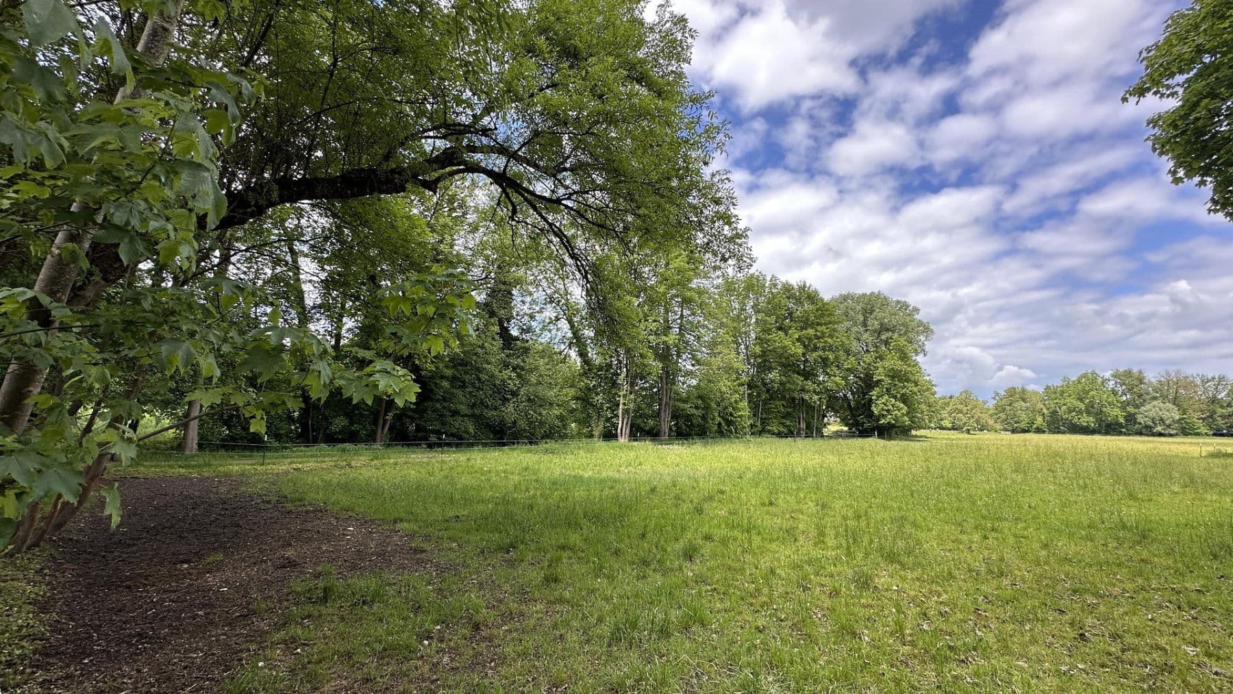 Prodej bytu 3+1 68 m², Sigererstr. 21, München, Bavorsko Prodej bytu 3+1 68 m², Sigererstr. 21, München, Bavorsko