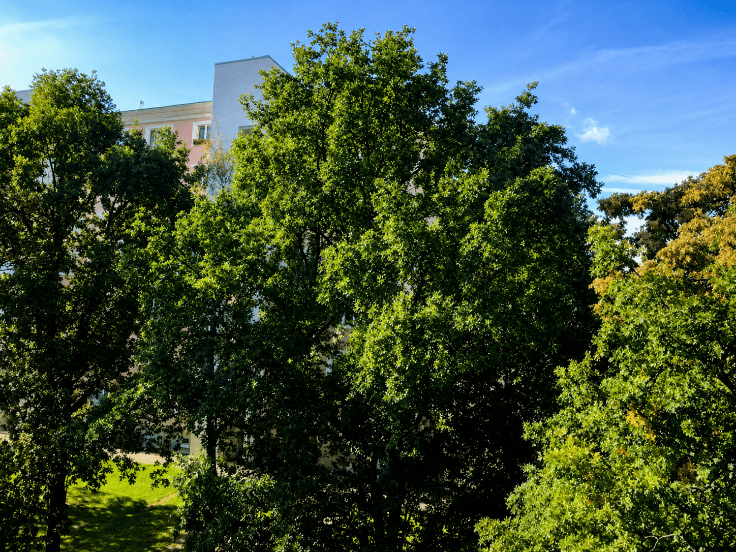 Pronájem bytu 2+1 52 m², Na Okraji, Praha, Praha Pronájem bytu 2+1 52 m², Na Okraji, Praha, Praha