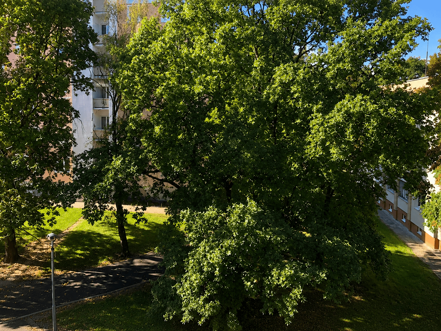 Pronájem bytu 2+1 52 m², Na Okraji, Praha, Praha Pronájem bytu 2+1 52 m², Na Okraji, Praha, Praha