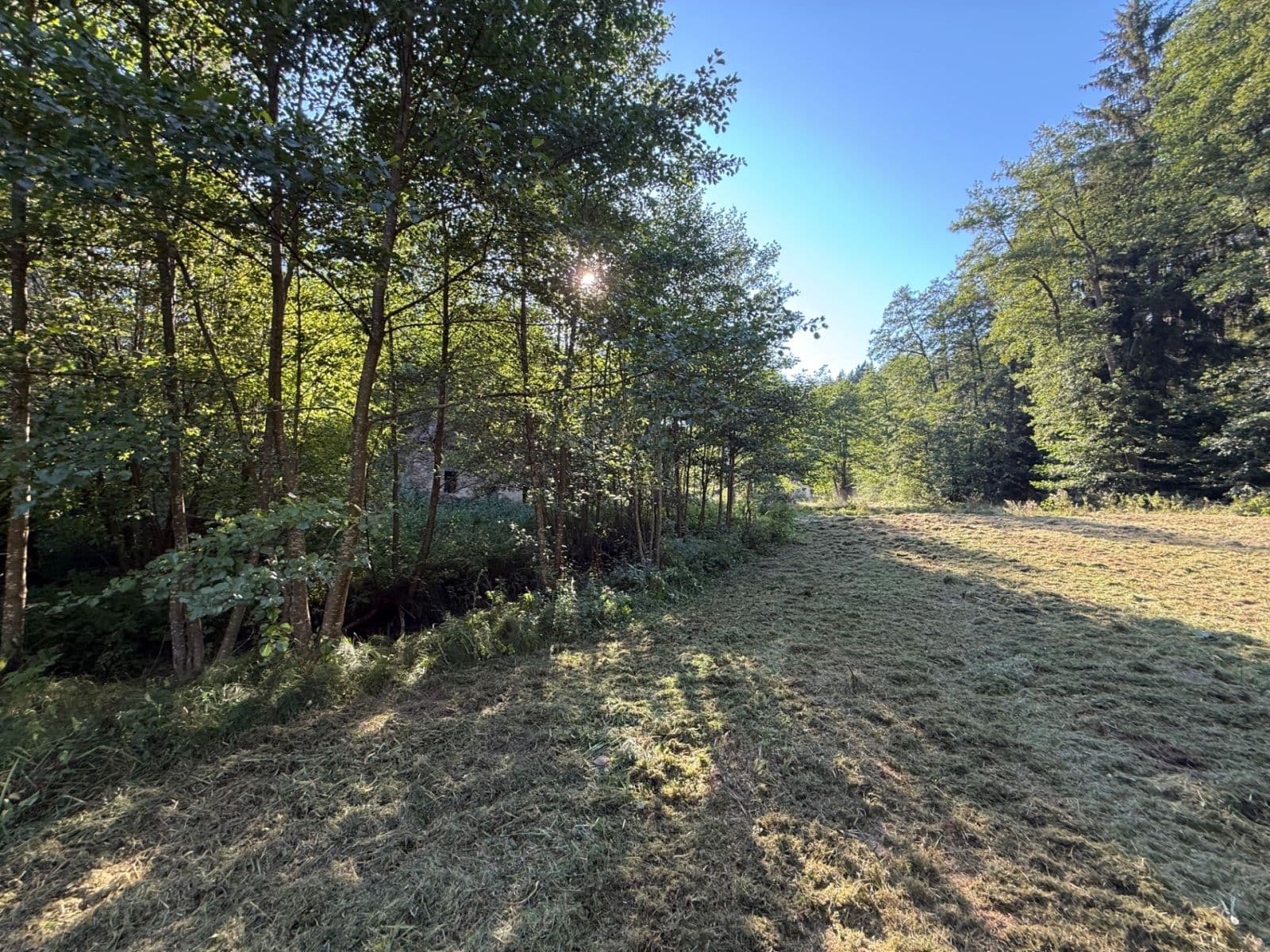 Prodej pozemku 8.551 m², Malšín, Jihočeský kraj Prodej pozemku 8.551 m², Malšín, Jihočeský kraj