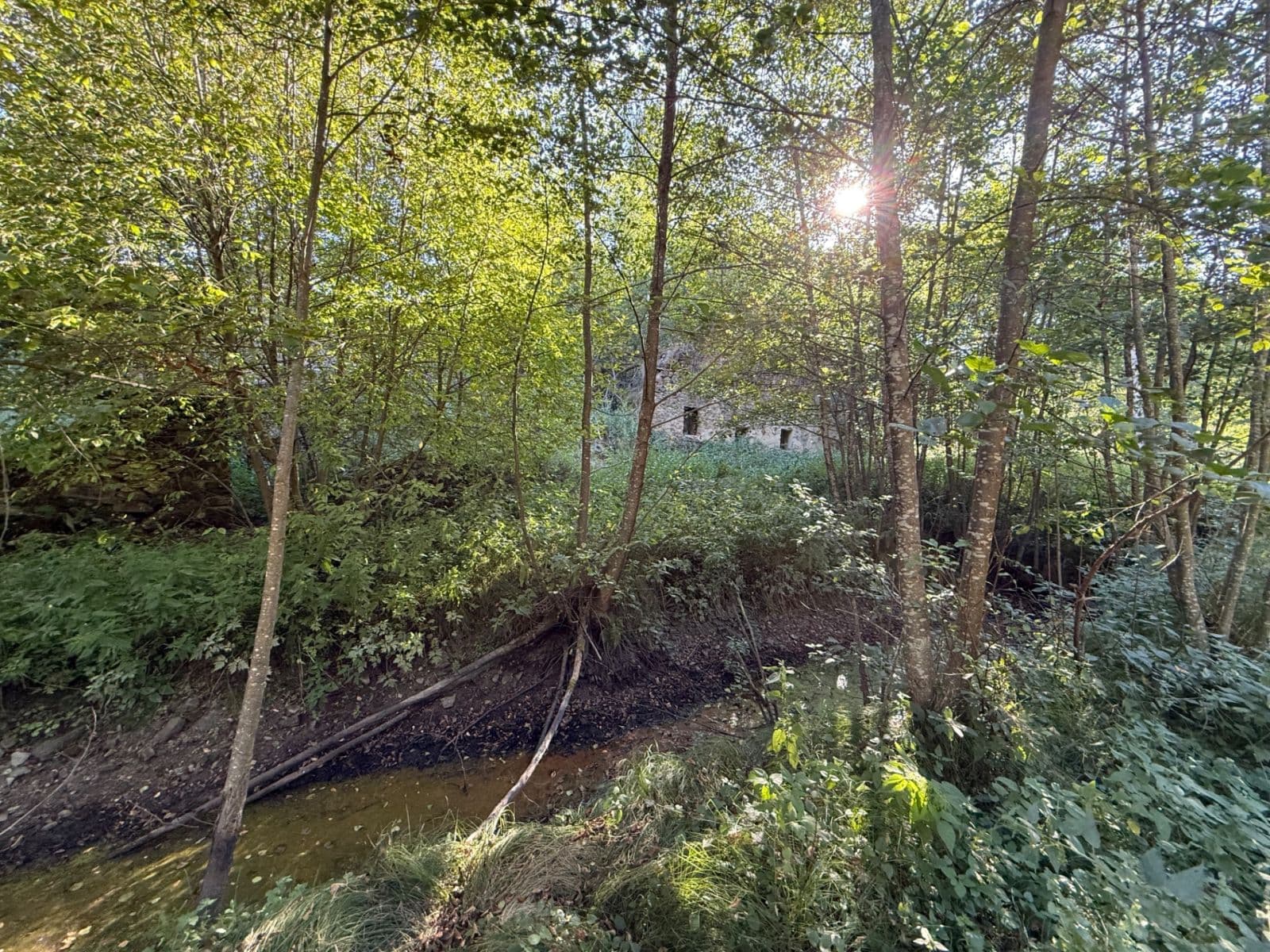 Prodej pozemku 8.551 m², Malšín, Jihočeský kraj Prodej pozemku 8.551 m², Malšín, Jihočeský kraj