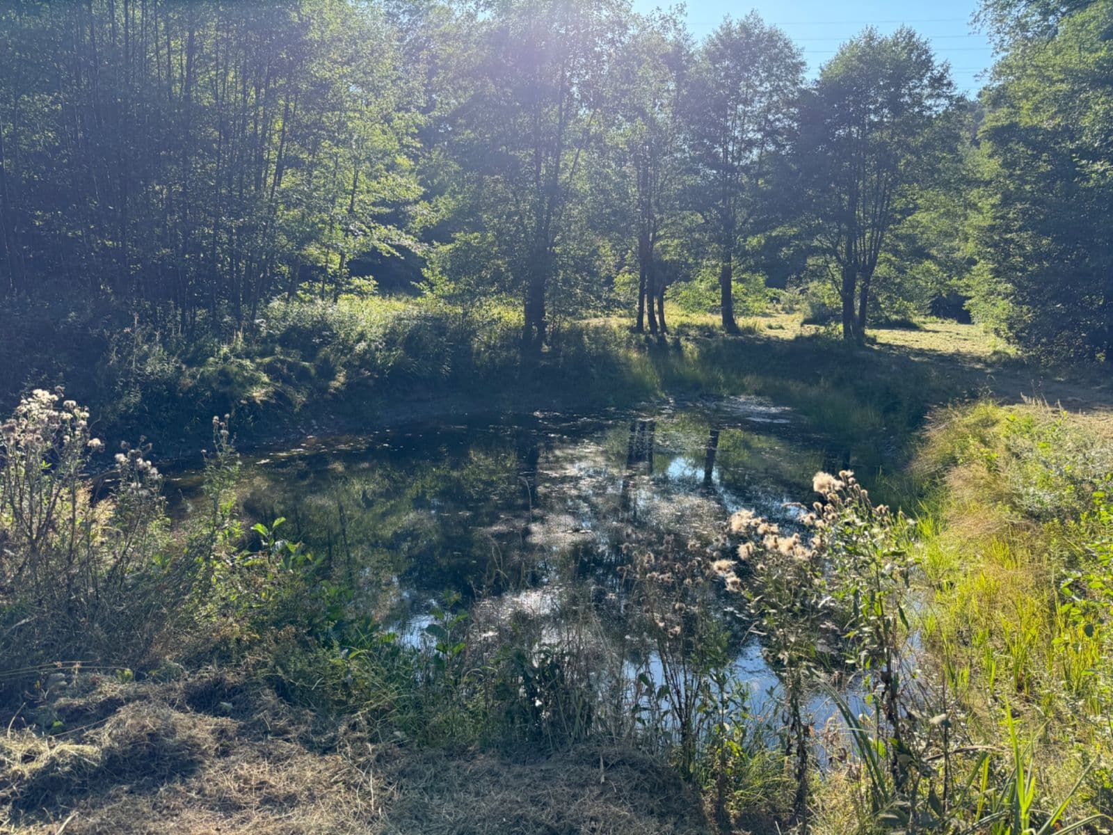 Prodej pozemku 8.551 m², Malšín, Jihočeský kraj Prodej pozemku 8.551 m², Malšín, Jihočeský kraj
