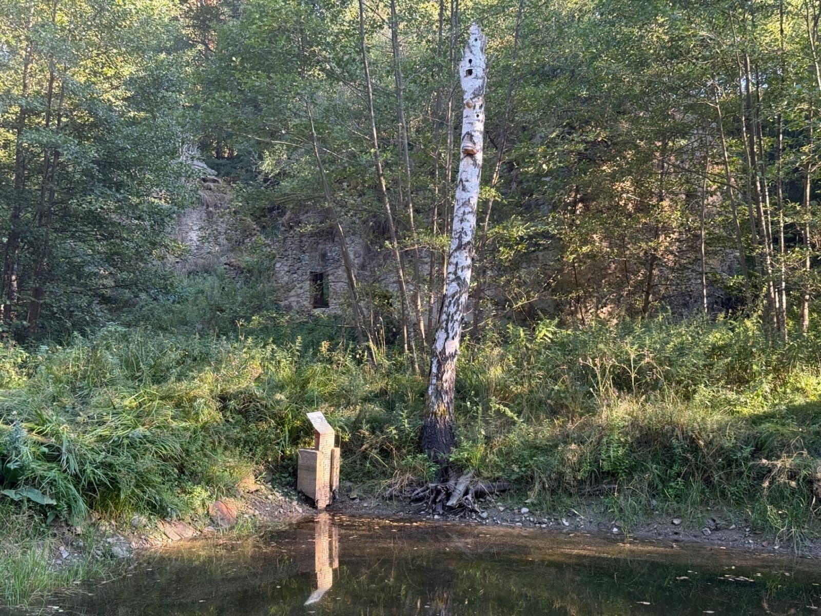 Prodej pozemku 8.551 m², Malšín, Jihočeský kraj Prodej pozemku 8.551 m², Malšín, Jihočeský kraj