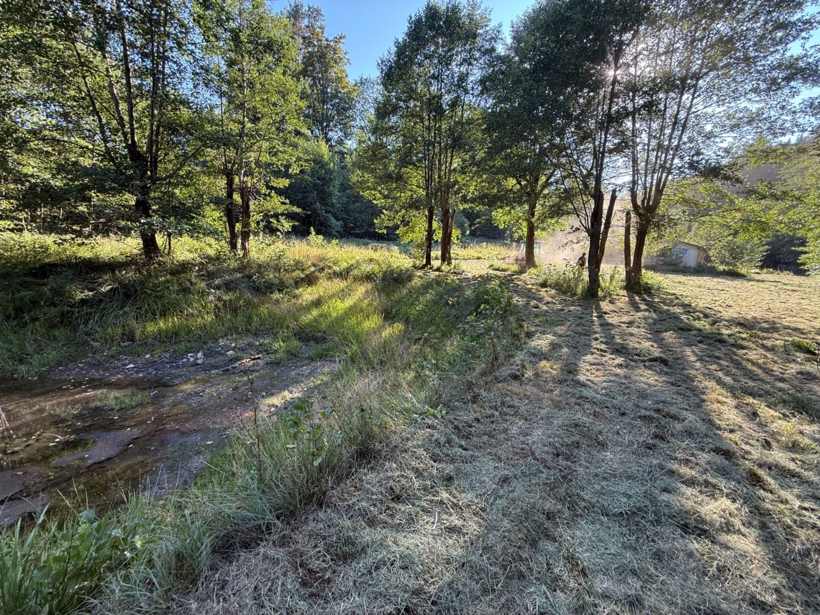 Prodej pozemku 8.551 m², Malšín, Jihočeský kraj Prodej pozemku 8.551 m², Malšín, Jihočeský kraj