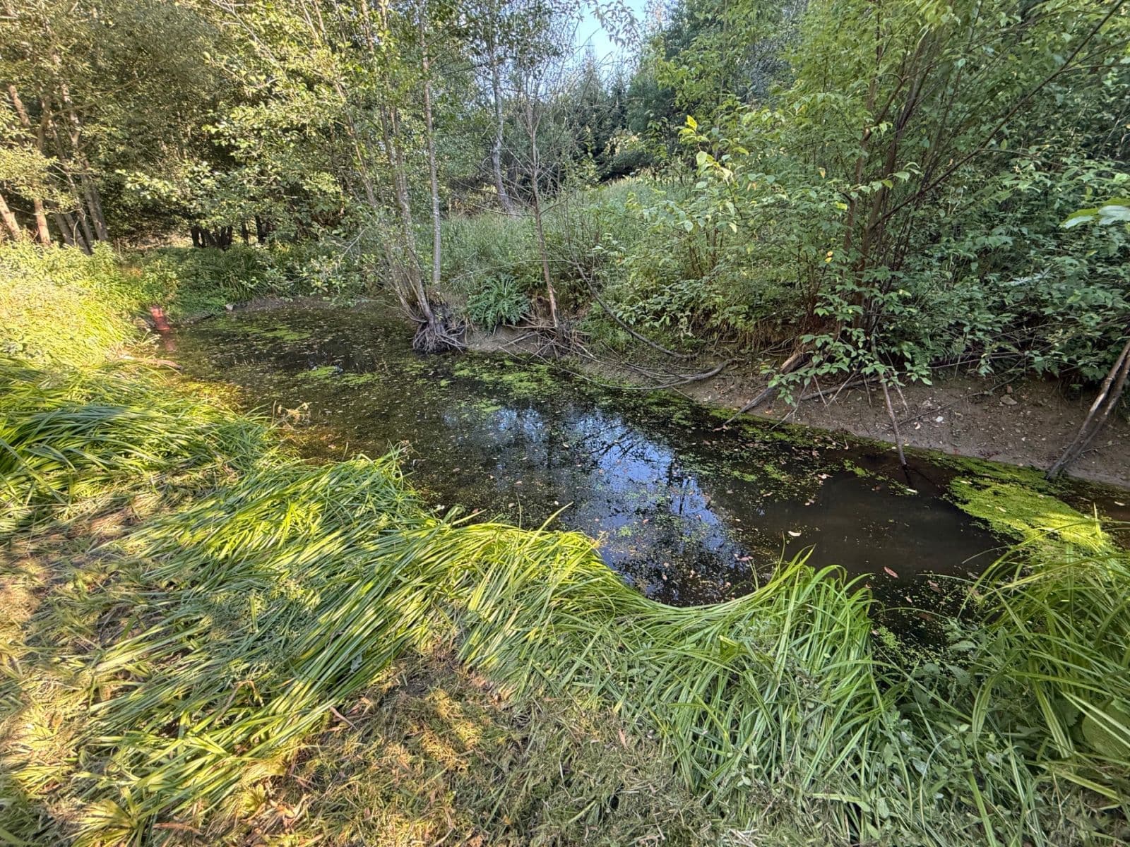 Prodej pozemku 8.551 m², Malšín, Jihočeský kraj Prodej pozemku 8.551 m², Malšín, Jihočeský kraj